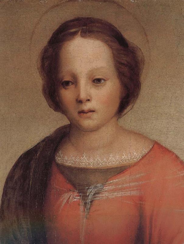 Andrea del Sarto Mary in detail China oil painting art